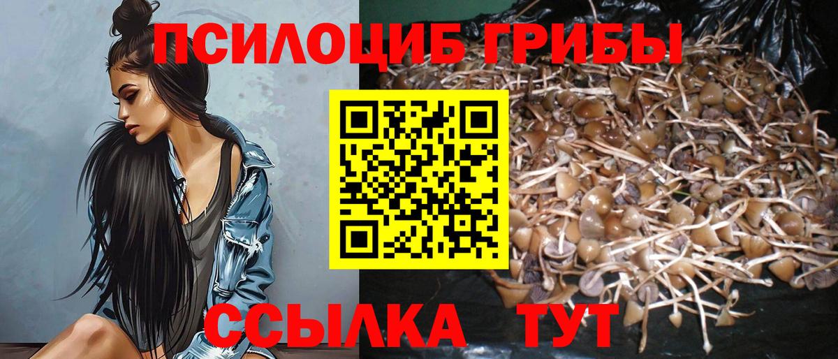 Псилоцибиновые грибы ЛСД  Вход с VPN  Миллерово 